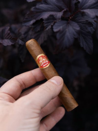 Partagas Short 25s<br>帕特加斯短号<br>25支/盒