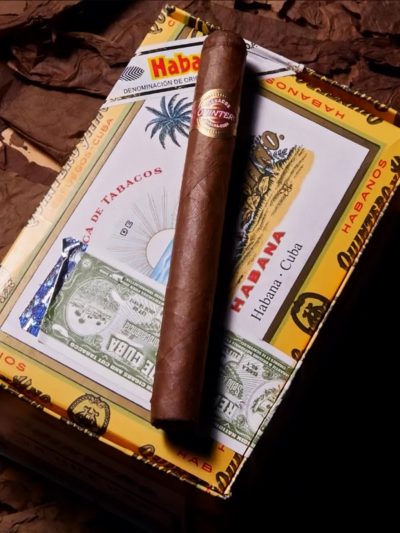 Quintero Brevas 25s<br>金特罗比华士<br>25支/盒