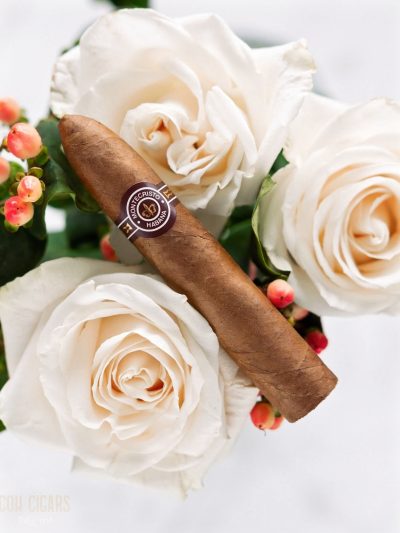 Montecristo Petit No.2 10s<br>蒙特小二号<br>10支/盒（陈年茄品）