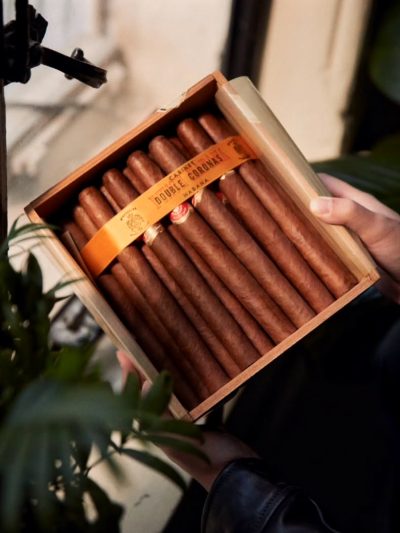 Punch Double Corona 50s<br>潘趣双皇冠<br>50支/盒（全球停产）