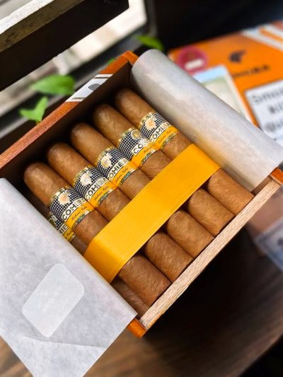 Cohiba Robusto 25s<br>高希霸罗布图<br>25支/盒（全网最低）